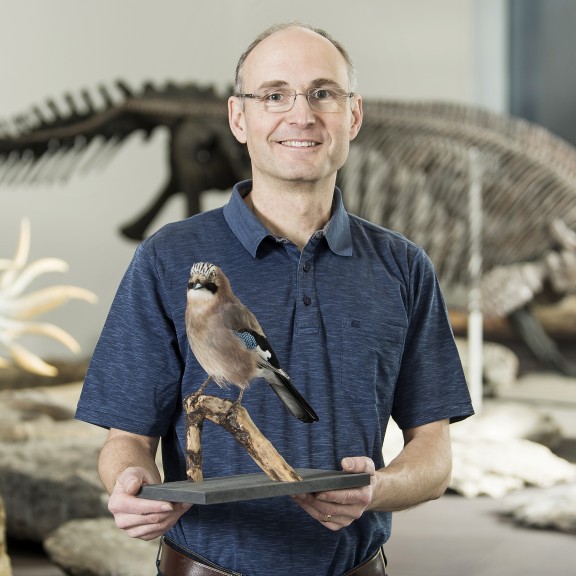 Naturmuseum_C_Irniger_0013 | Mitarbeiterportraits Naturmuseum St. Gallen | Business | Menschen | Leo Boesinger Fotograf