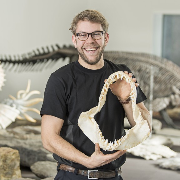 Naturmuseum_T_Rueegg_0007 | Mitarbeiterportraits Naturmuseum St. Gallen | Business | Menschen | Leo Boesinger Fotograf