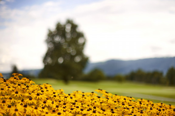 GPH_19_Impression_002 | Golfparks | Natur / Reisen | Leo Boesinger Fotograf