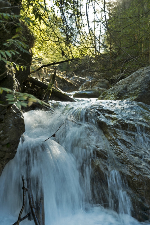 kloentalersee0015 | Klöntalersee | Natur / Reisen | Leo Boesinger Fotograf