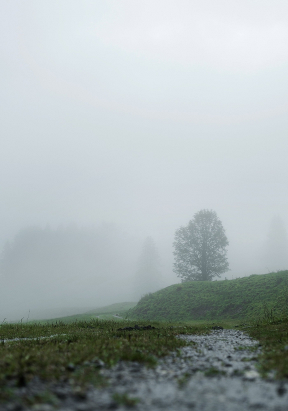 kloentalersee0348 | Klöntalersee | Natur / Reisen | Leo Boesinger Fotograf