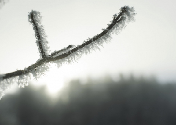 winter10098 | Winter Littenheid | Natur / Reisen | Leo Boesinger Fotograf