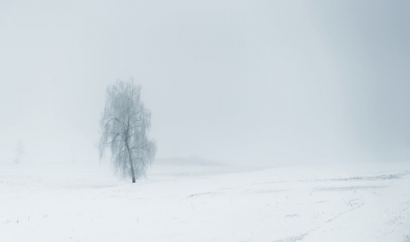winter10192 | Winter Littenheid | Natur / Reisen | Leo Boesinger Fotograf