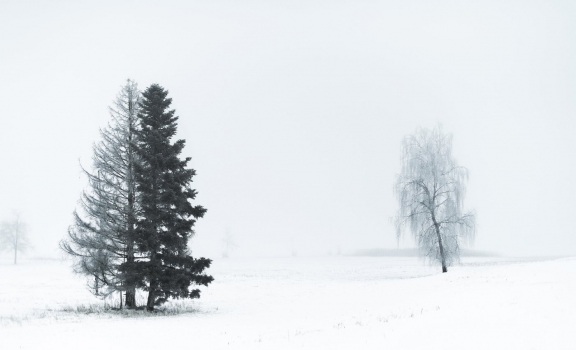 winter10204 | Winter Littenheid | Natur / Reisen | Leo Boesinger Fotograf