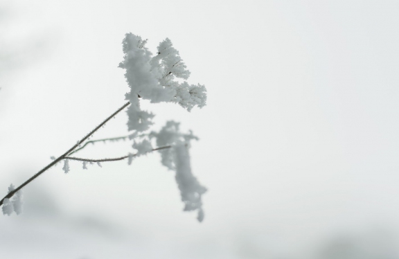 winter10248 | Winter Littenheid | Natur / Reisen | Leo Boesinger Fotograf