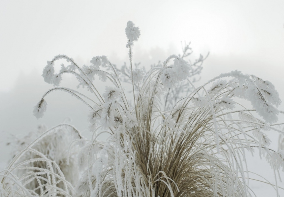 winter10291 | Winter Littenheid | Natur / Reisen | Leo Boesinger Fotograf