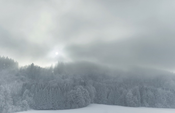 winter20007 | Winter Littenheid | Natur / Reisen | Leo Boesinger Fotograf