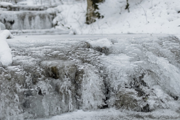 winter20158 | Winter Littenheid | Natur / Reisen | Leo Boesinger Fotograf