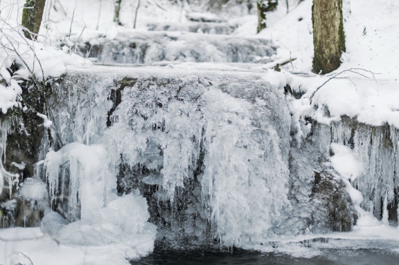 winter20167 | Winter Littenheid | Natur / Reisen | Leo Boesinger Fotograf