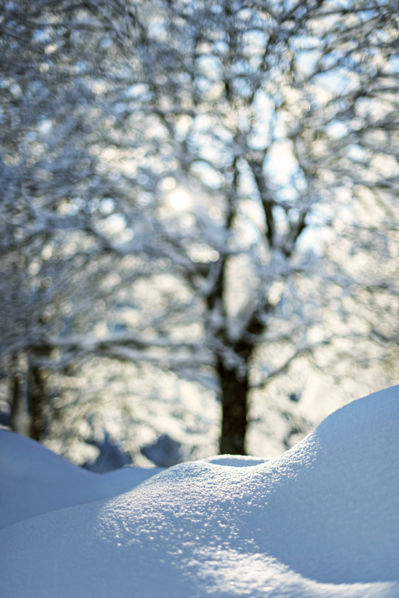 LEO_0300 | Winterstimmung in den drei Weihern | Natur / Reisen | Leo Boesinger Fotograf