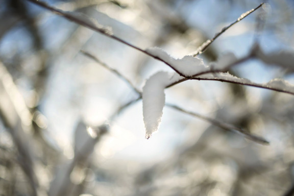 LEO_0437 | Winterstimmung in den drei Weihern | Natur / Reisen | Leo Boesinger Fotograf