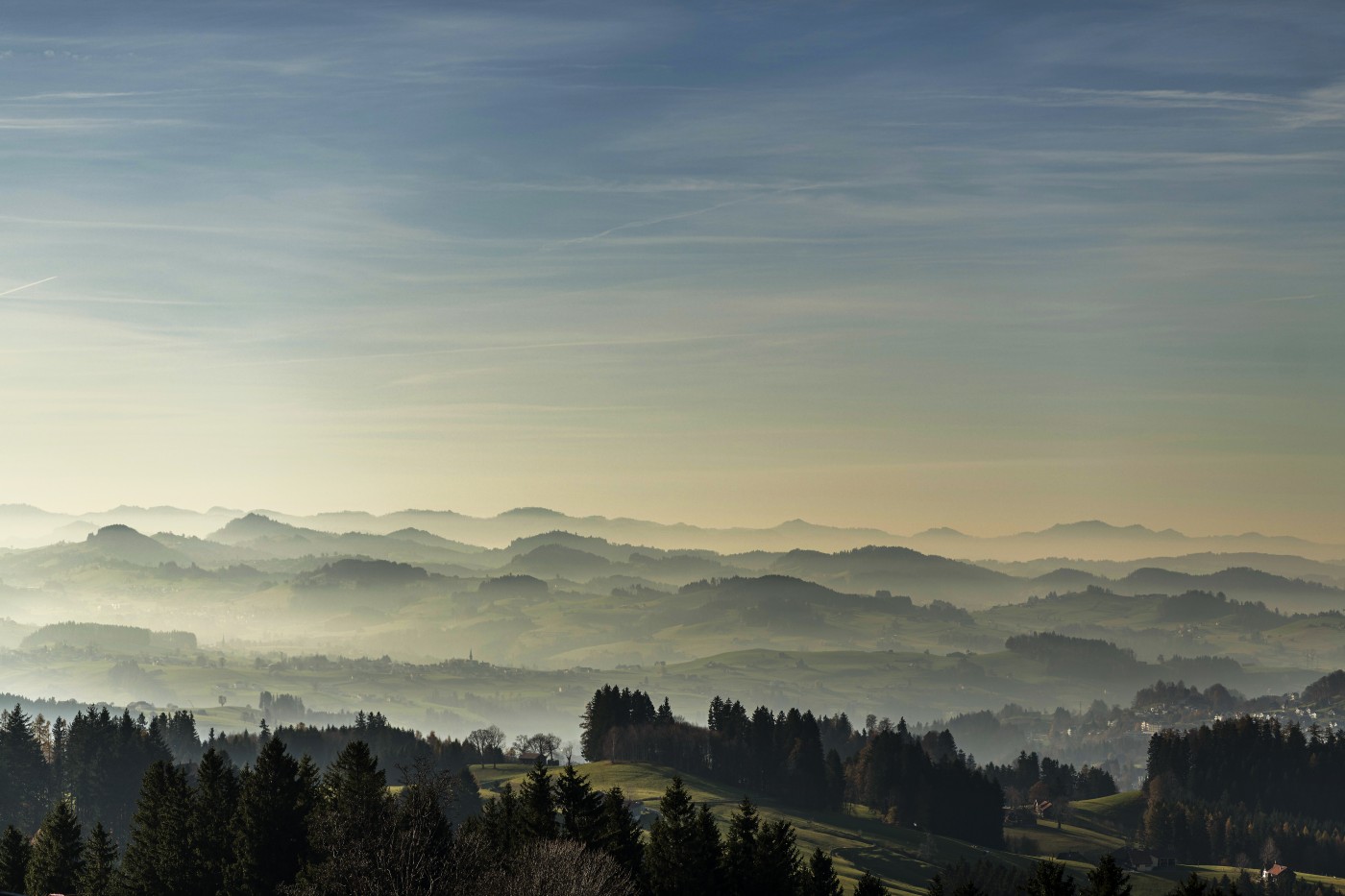 Hohe_Buche_11_21_0015 | Hohe Buche im Herbst | Natur, Städte und Reisen | Leo Boesinger Fotograf St. Gallen Spezialist für Portrait- Business- und Architekturfotografie