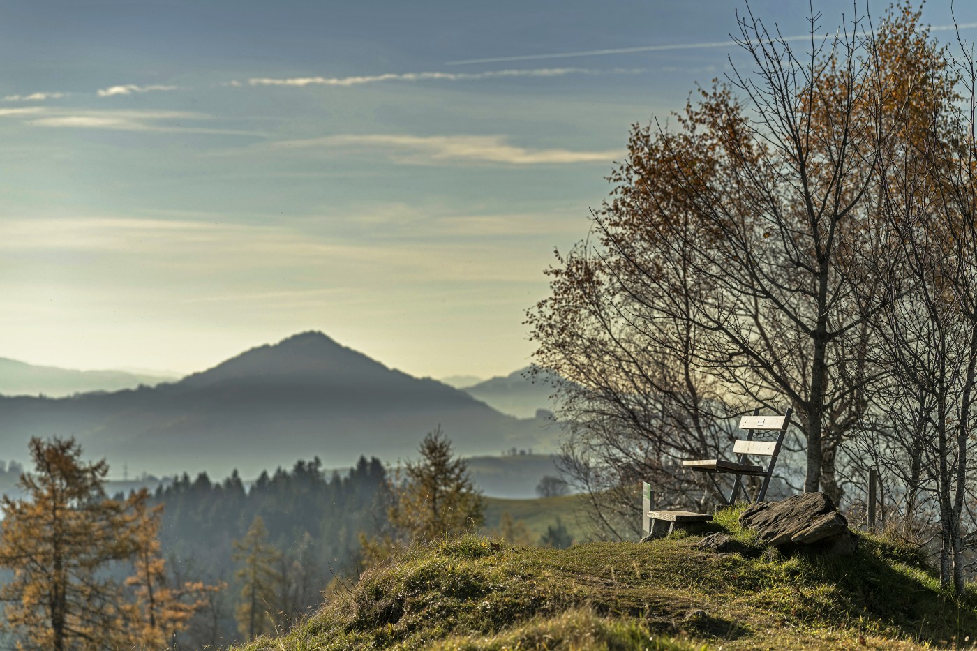 Hohe_Buche_11_21_0029 | Hohe Buche im Herbst | Natur, Städte und Reisen | Leo Boesinger Fotograf St. Gallen Spezialist für Portrait- Business- und Architekturfotografie