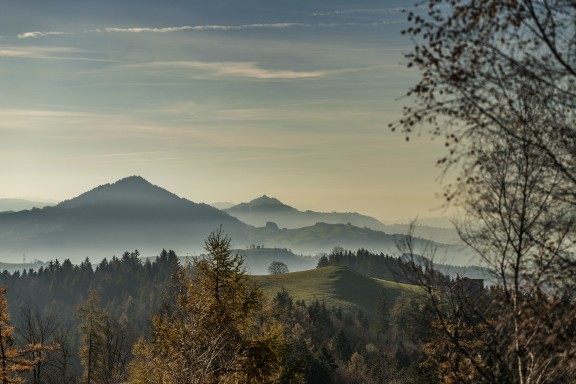 Hohe_Buche_11_21_0033 | Hohe Buche im Herbst | Natur, Städte und Reisen | Leo Boesinger Fotograf St. Gallen Spezialist für Portrait- Business- und Architekturfotografie