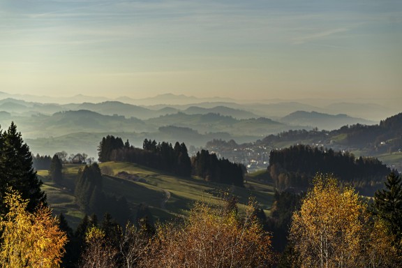 Hohe_Buche_11_21_0040 | Hohe Buche im Herbst | Natur, Städte und Reisen | Leo Boesinger Fotograf St. Gallen Spezialist für Portrait- Business- und Architekturfotografie