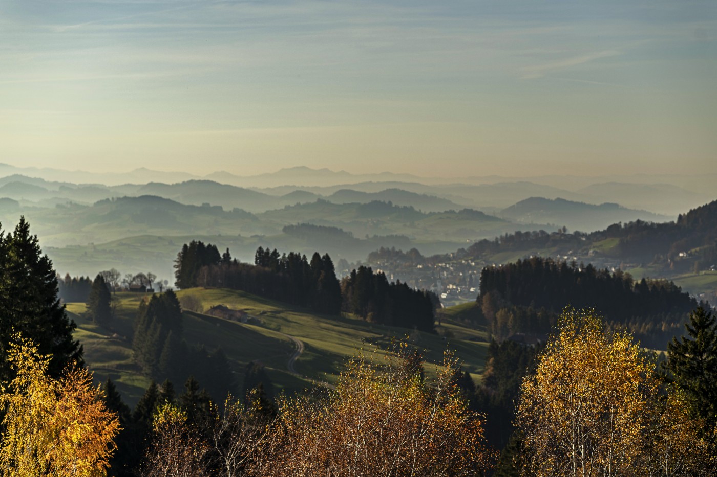 Hohe_Buche_11_21_0040 | Hohe Buche im Herbst | Natur, Städte und Reisen | Leo Boesinger Fotograf St. Gallen Spezialist für Portrait- Business- und Architekturfotografie