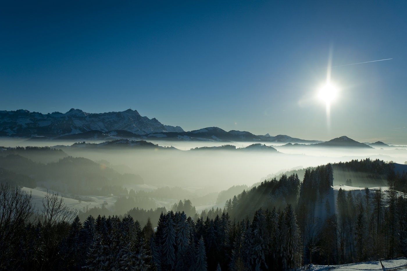 hohe-buche0018 | Hohe Buche | Natur, Städte und Reisen | Leo Boesinger Fotograf St. Gallen Spezialist für Portrait- Business- und Architekturfotografie