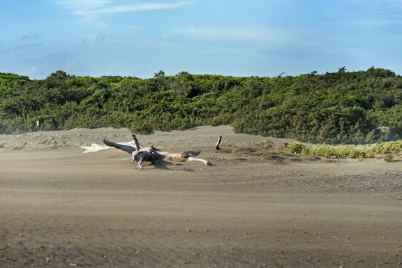 Meer_0265 | Wind, Wellen, Weitblick – Fotomomente aus der Toskana | Natur, Städte und Reisen | Leo Boesinger Fotograf St. Gallen Spezialist für Portrait- Business- und Architekturfotografie