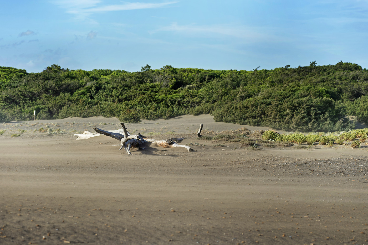 Meer_0265 | Wind, Wellen, Weitblick – Fotomomente aus der Toskana | Natur, Städte und Reisen | Leo Boesinger Fotograf St. Gallen Spezialist für Portrait- Business- und Architekturfotografie