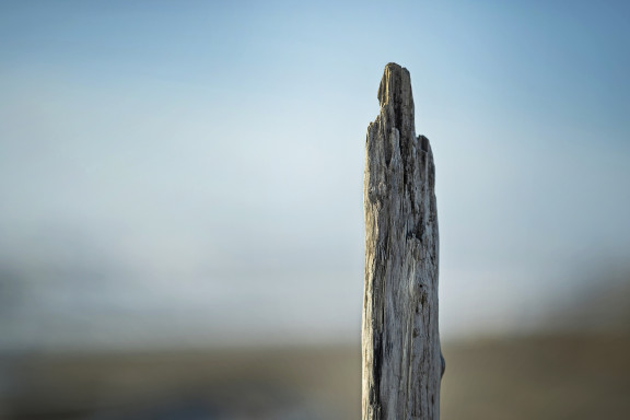 Meer_0349 | Wind, Wellen, Weitblick – Fotomomente aus der Toskana | Natur, Städte und Reisen | Leo Boesinger Fotograf St. Gallen Spezialist für Portrait- Business- und Architekturfotografie