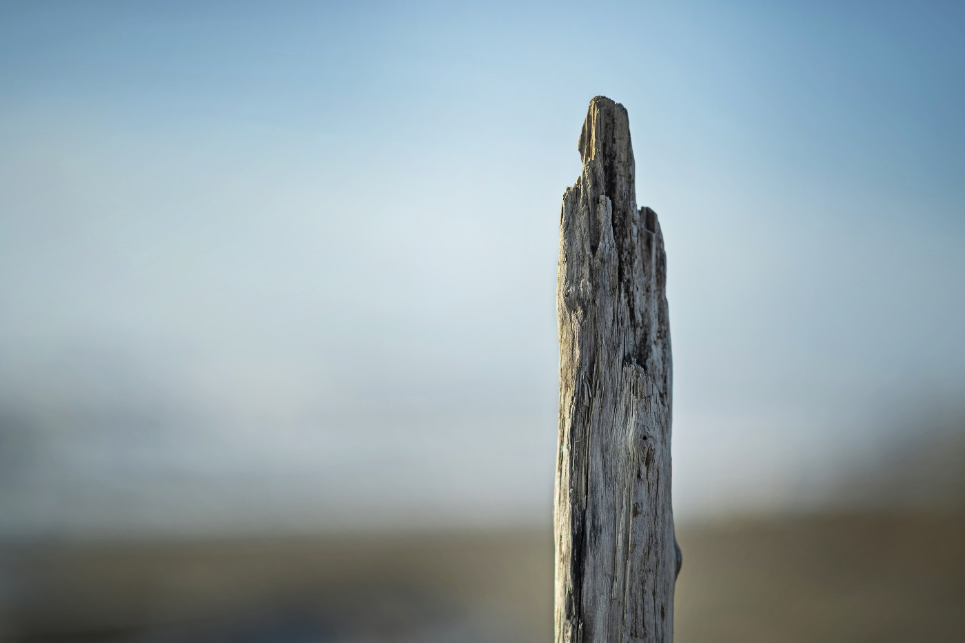 Meer_0349 | Wind, Wellen, Weitblick – Fotomomente aus der Toskana | Natur, Städte und Reisen | Leo Boesinger Fotograf St. Gallen Spezialist für Portrait- Business- und Architekturfotografie