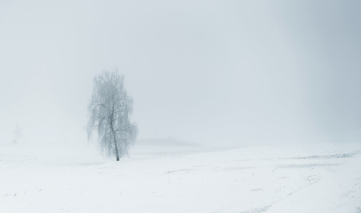winter10192 | Winter Littenheid | Natur, Städte und Reisen | Leo Boesinger Fotograf St. Gallen Spezialist für Portrait- Business- und Architekturfotografie