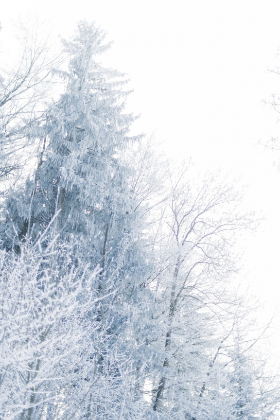 winter20108 | Winter Littenheid | Natur, Städte und Reisen | Leo Boesinger Fotograf St. Gallen Spezialist für Portrait- Business- und Architekturfotografie