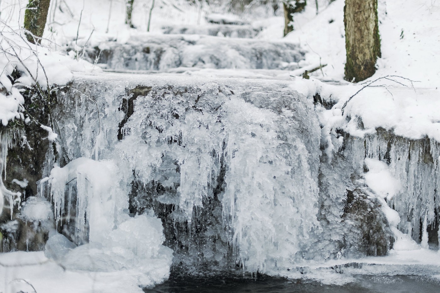 winter20167 | Winter Littenheid | Natur, Städte und Reisen | Leo Boesinger Fotograf St. Gallen Spezialist für Portrait- Business- und Architekturfotografie