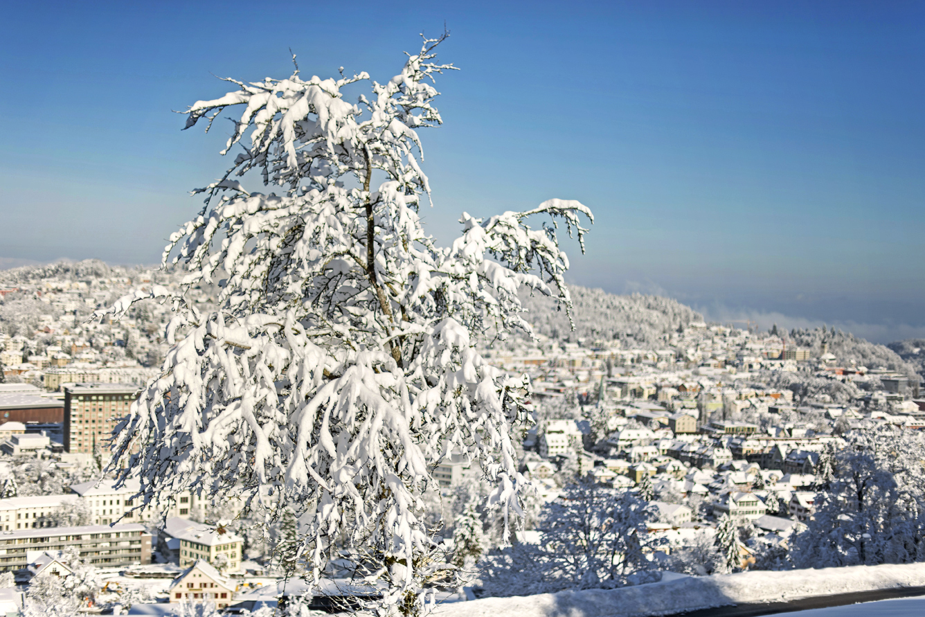 LEO_0280 | Winterstimmung in den drei Weihern | Natur, Städte und Reisen | Leo Boesinger Fotograf St. Gallen Spezialist für Portrait- Business- und Architekturfotografie
