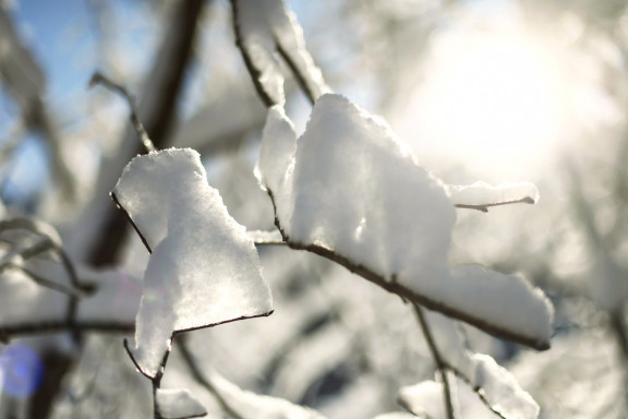 LEO_0446 | Winterstimmung in den drei Weihern | Natur, Städte und Reisen | Leo Boesinger Fotograf St. Gallen Spezialist für Portrait- Business- und Architekturfotografie