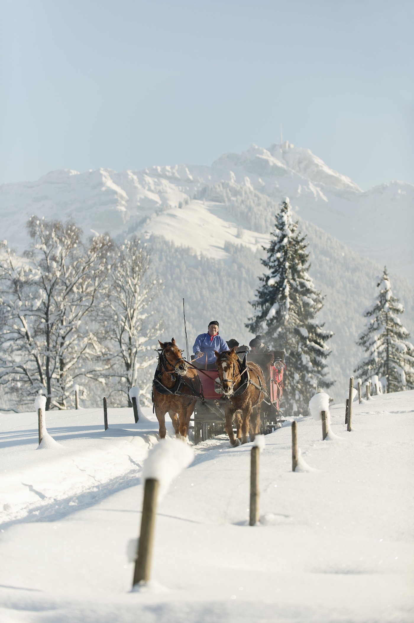 kutsche0100 | Appenzellerland Tourismus | Werbung in Bildern – Marken sichtbar machen | Leo Boesinger Fotograf St. Gallen Spezialist für Portrait- Business- und Architekturfotografie