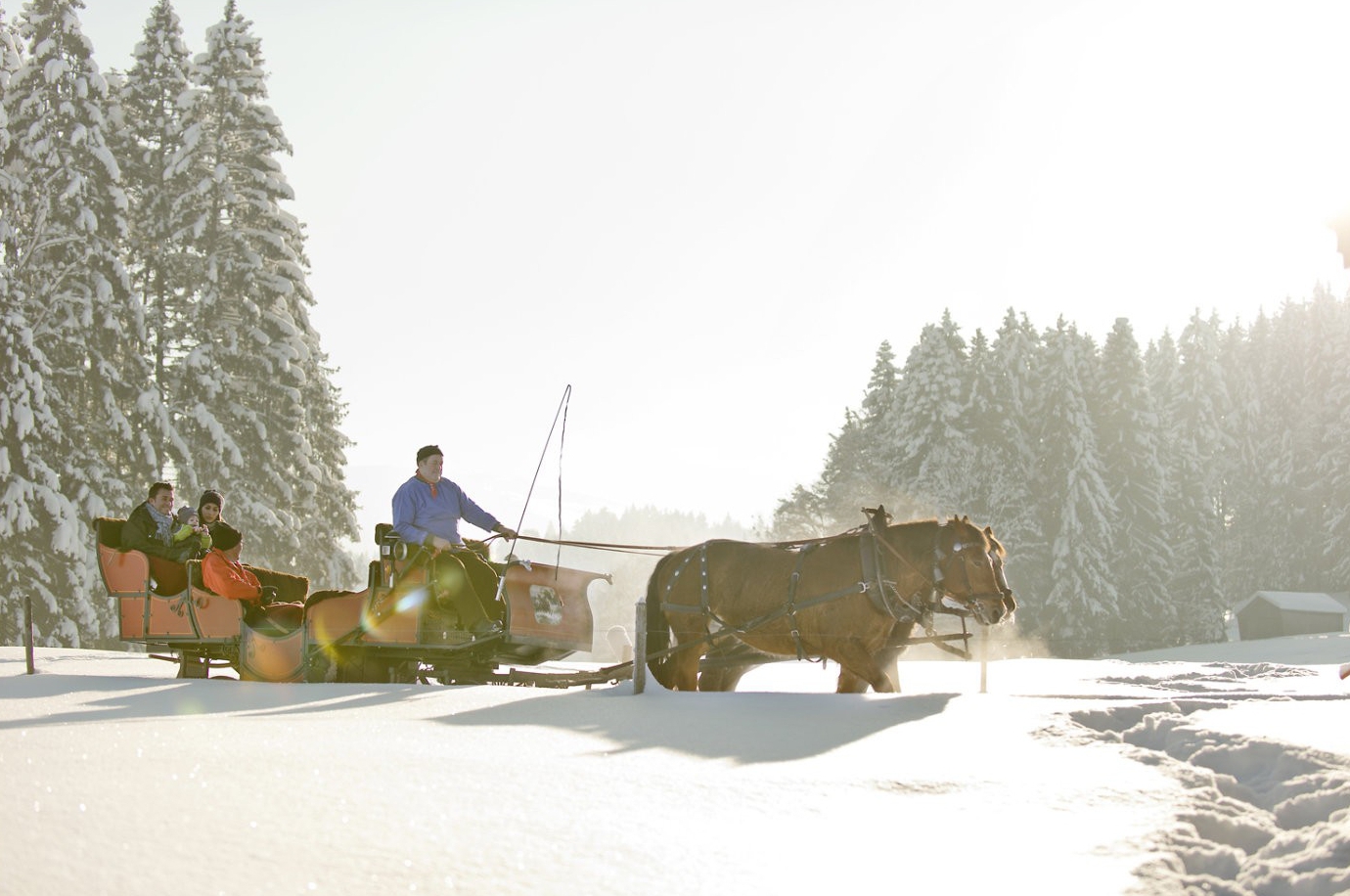 kutsche0191 | Appenzellerland Tourismus | Werbung in Bildern – Marken sichtbar machen | Leo Boesinger Fotograf St. Gallen Spezialist für Portrait- Business- und Architekturfotografie